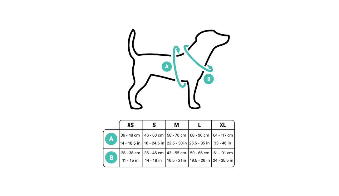 Harness measurements online