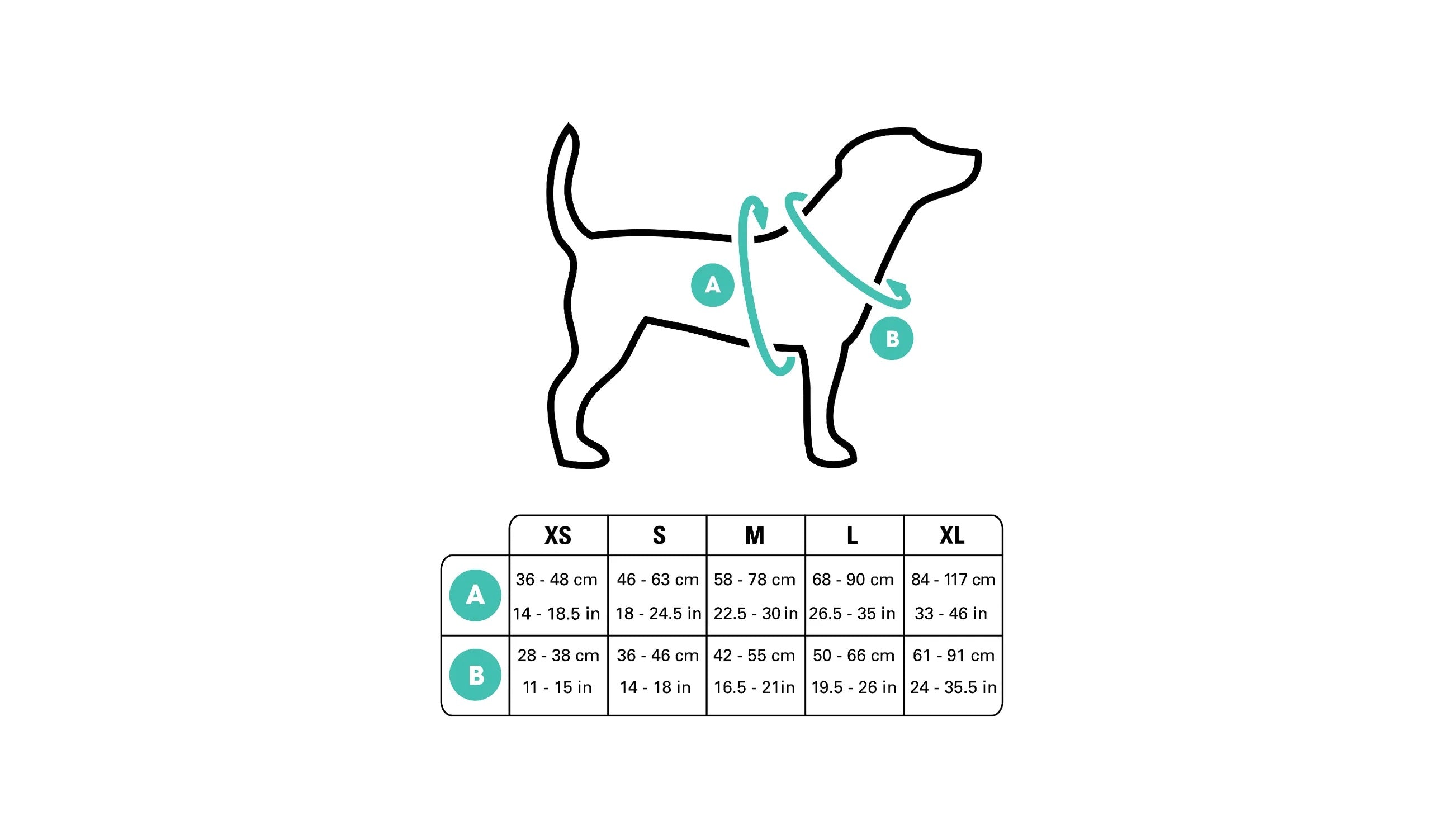 The Ultimate Guide How to Measure Your Dog for a Harness Blog BAUMUTT