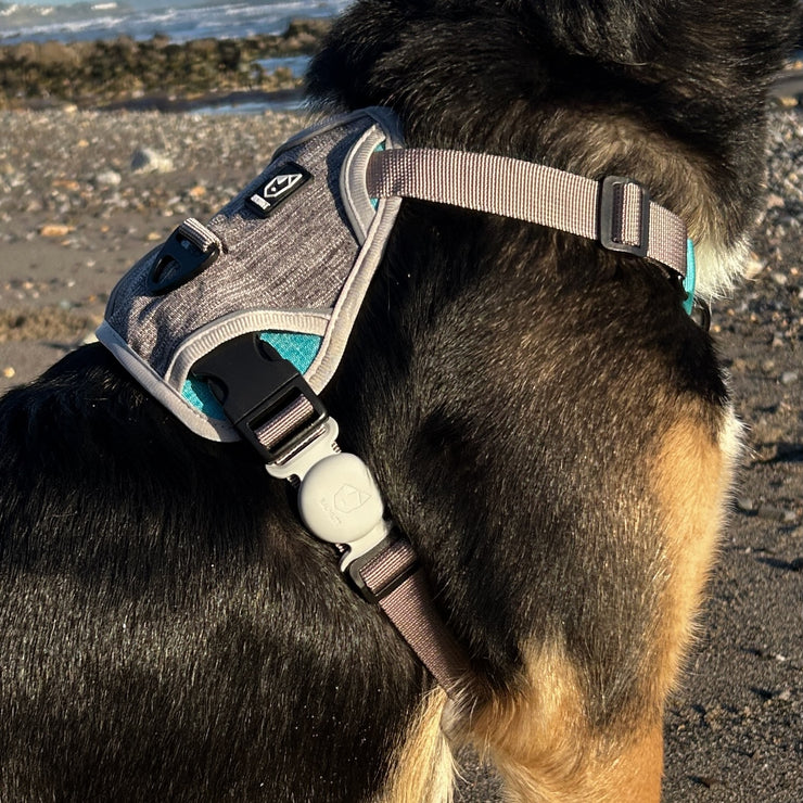 AirTag Holder for Dogs