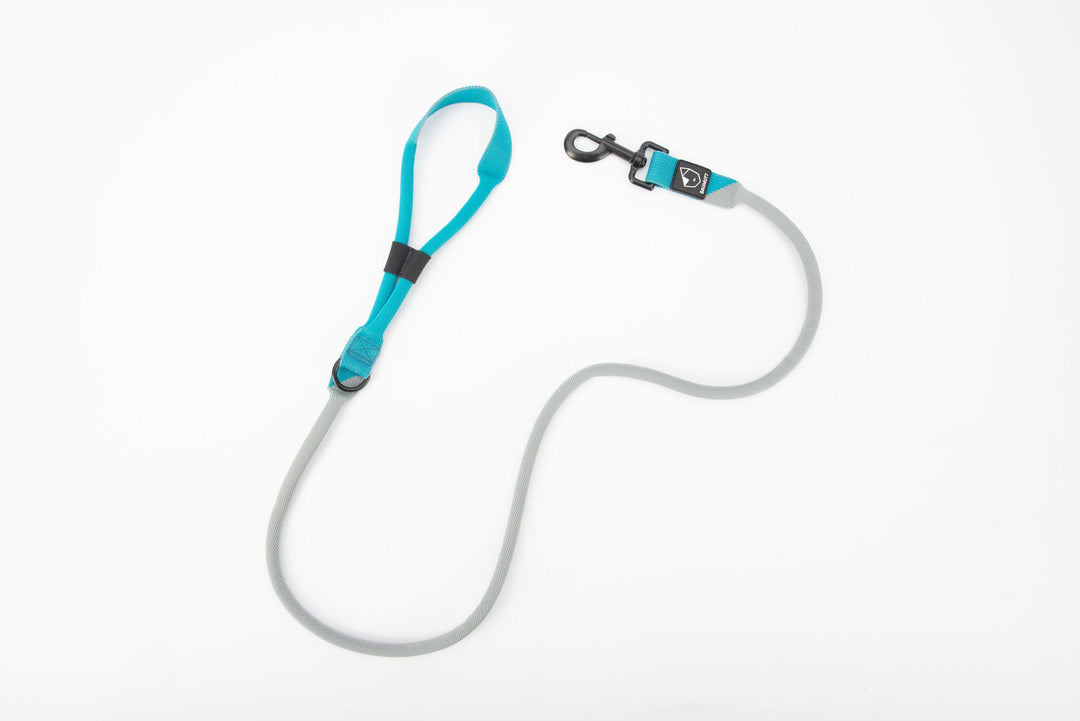 hands free dog leash