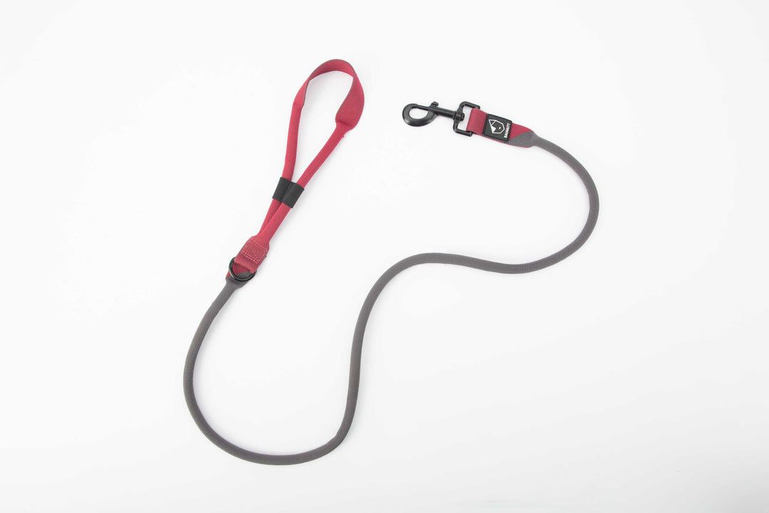 hands free dog leash