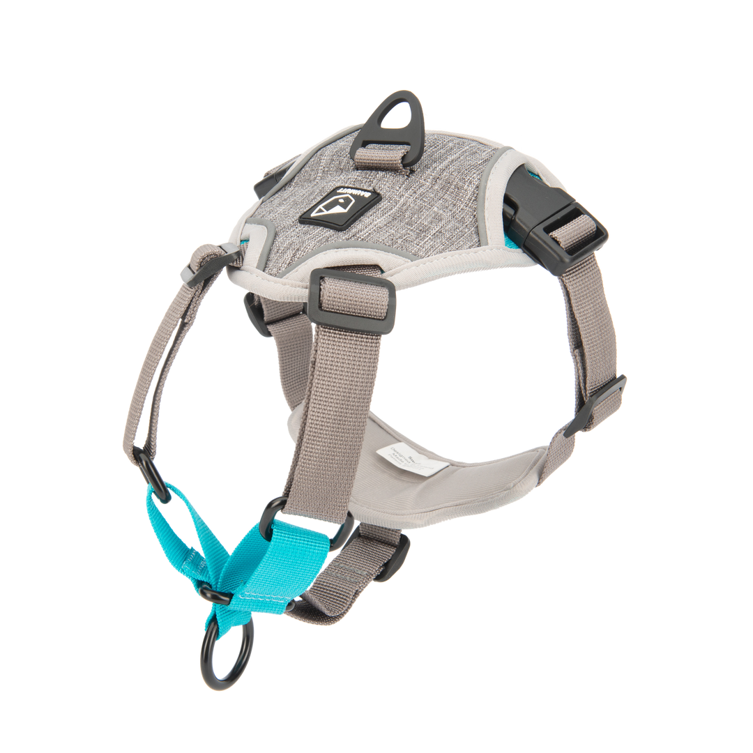 NO PULL DOG HARNESS