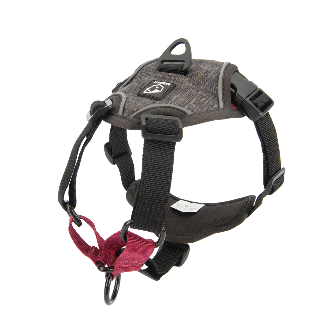 no pull dog harness