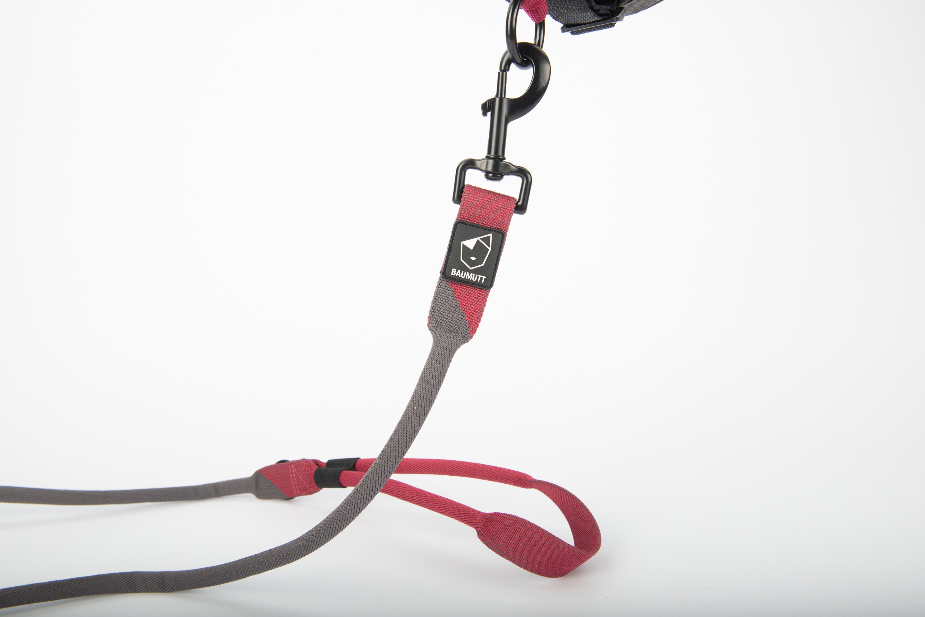 hands free dog leash