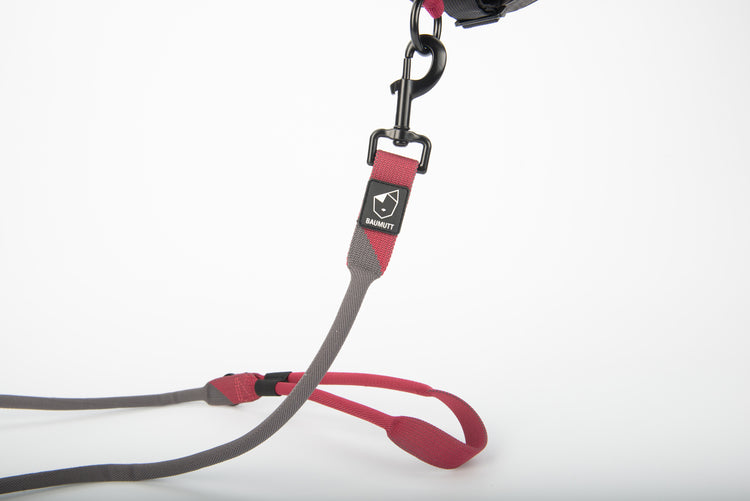 hands free dog leash