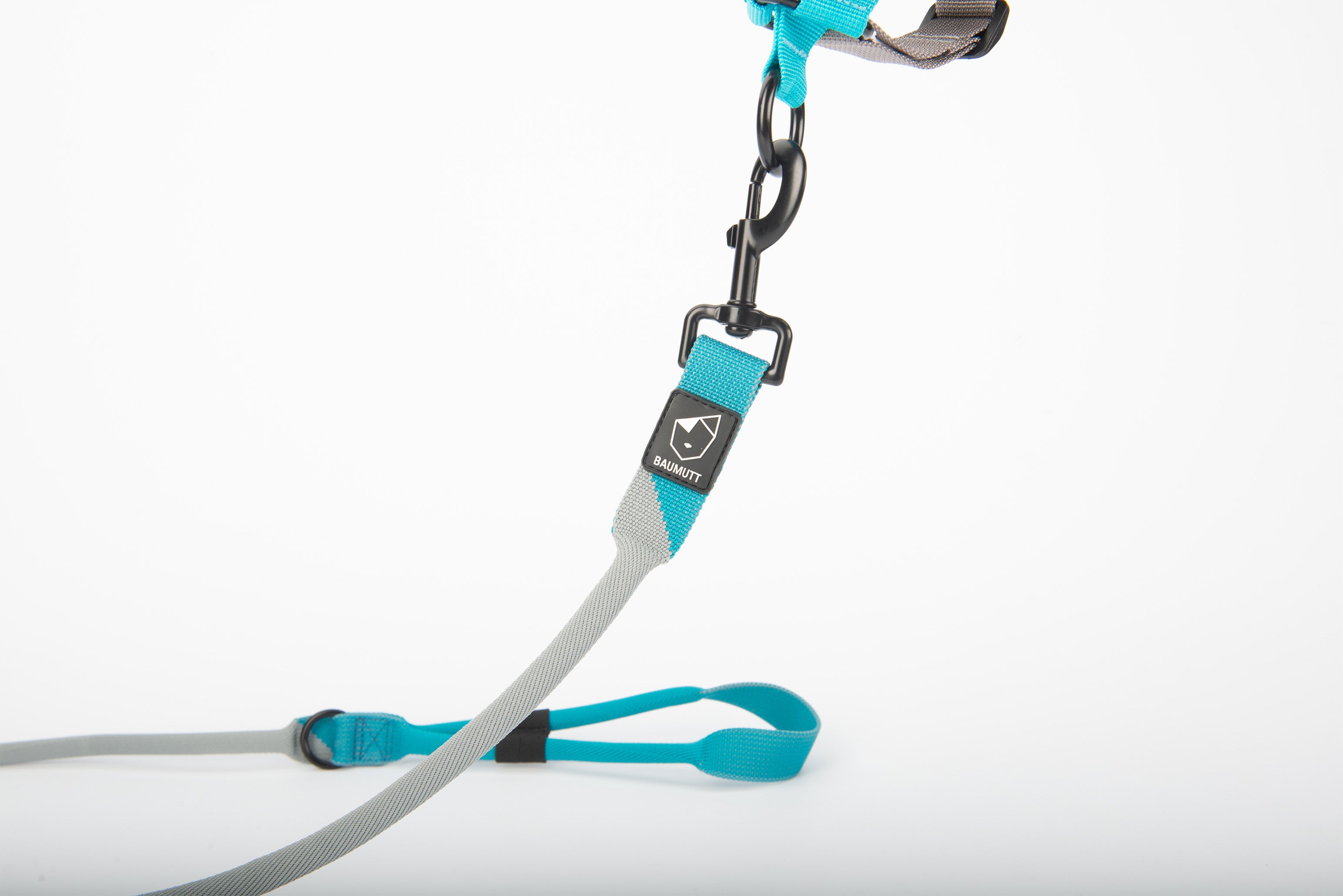 hands free dog leash