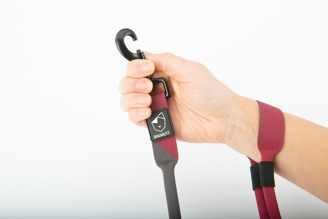hands free dog leash