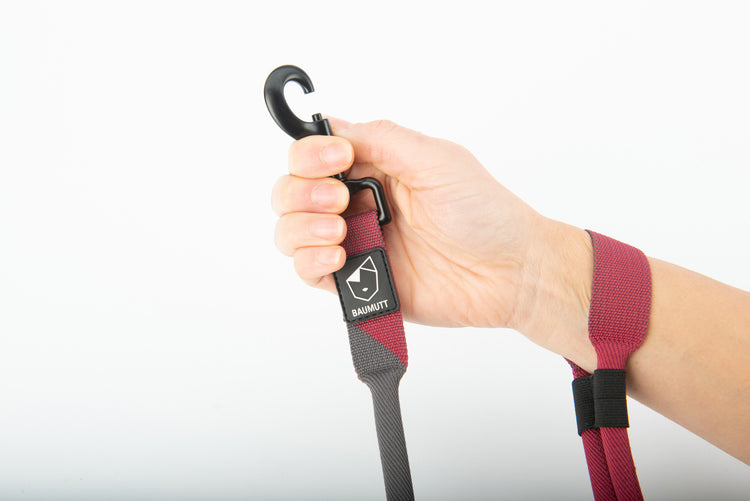 hands free dog leash