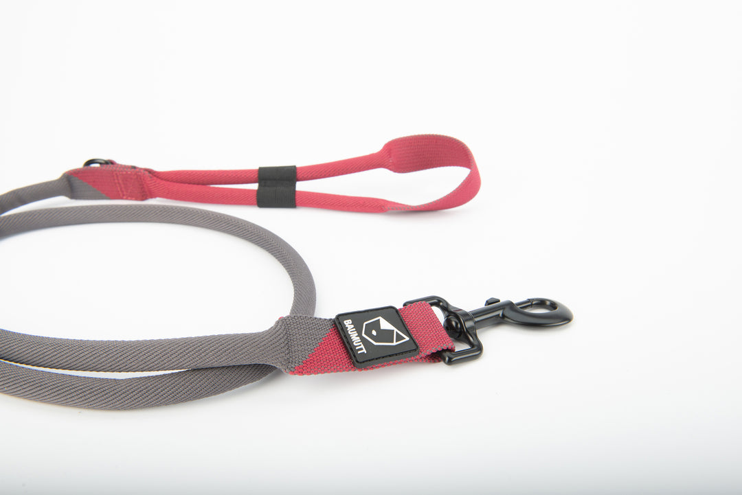 hands free dog leash