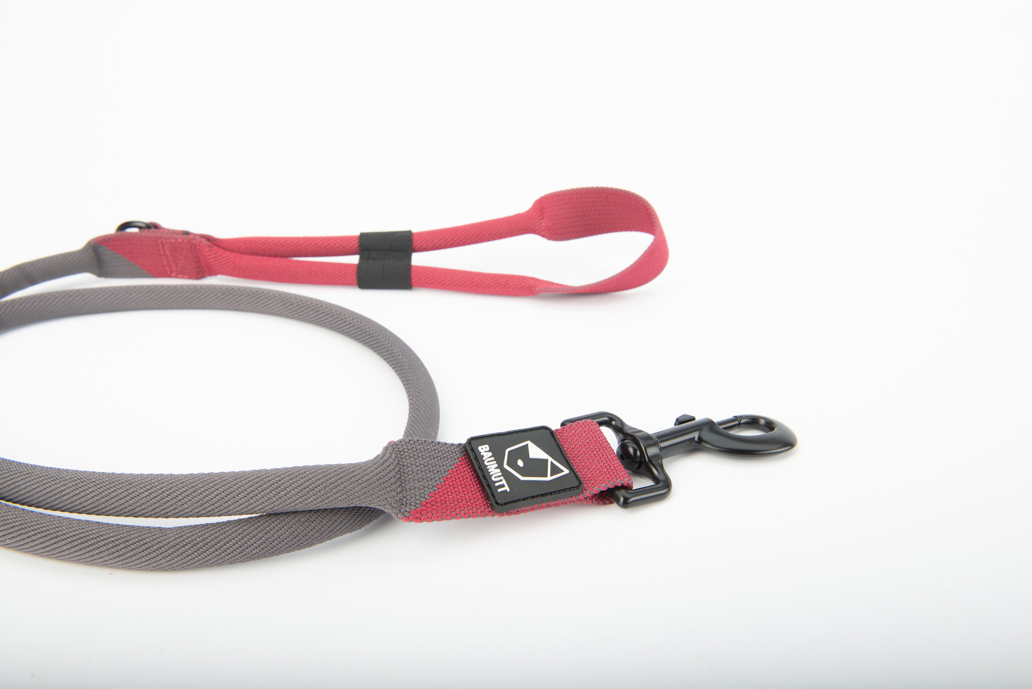 hands free dog leash