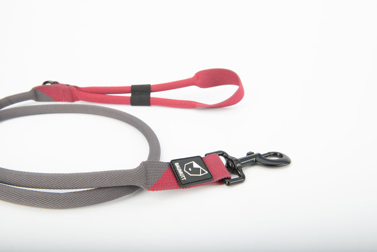 hands free dog leash