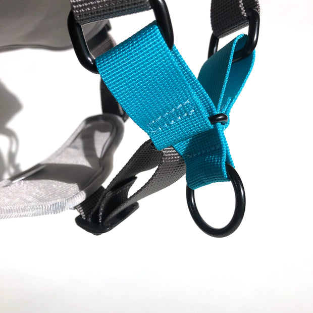 IN LINE no pull dog harness connection system by BAUMUTT in STONE SKU, light grey and aqua accent