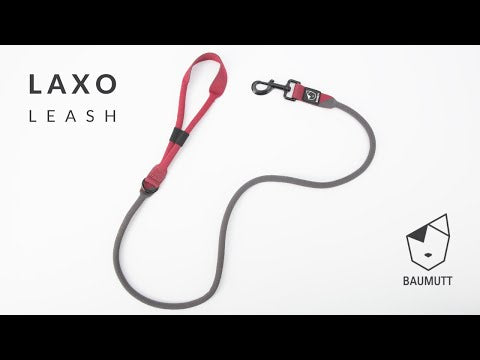 hands free dog leash